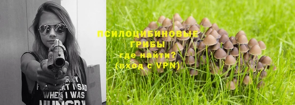 мяу мяу мука Алексин