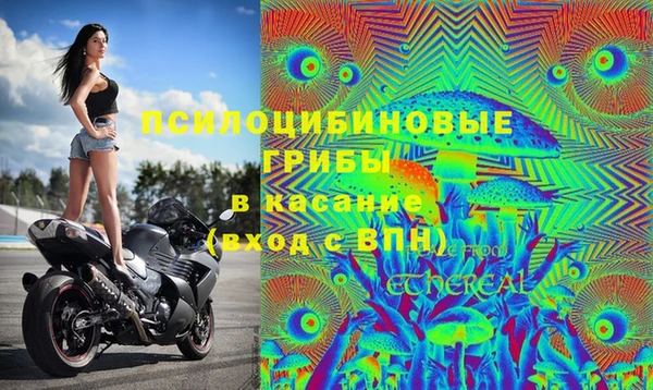 PSILOCYBIN Алзамай