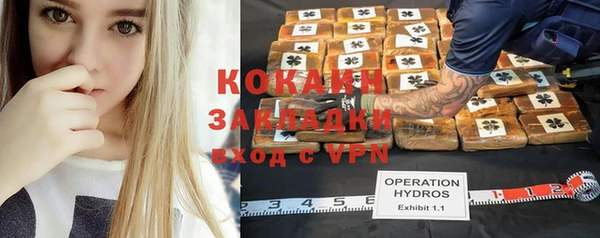 PSILOCYBIN Алзамай