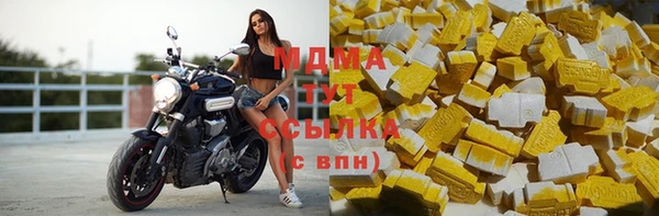 PSILOCYBIN Алзамай