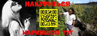 сатива Кунгур