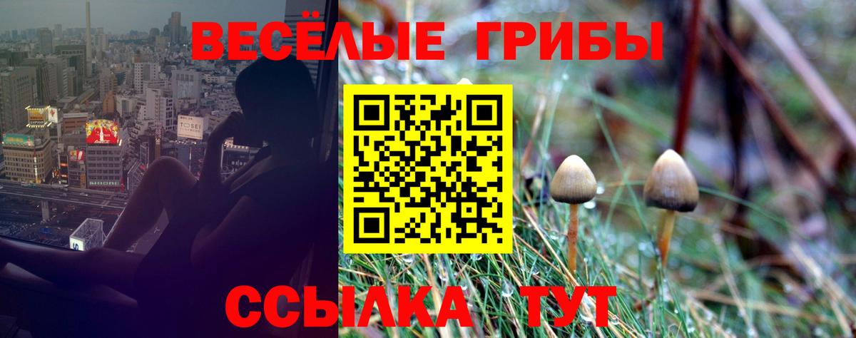 Галлюциногенные грибы MAGIC MUSHROOMS  Вход с VPN  Железноводск 